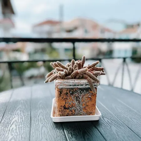 Kassiani Apartament *